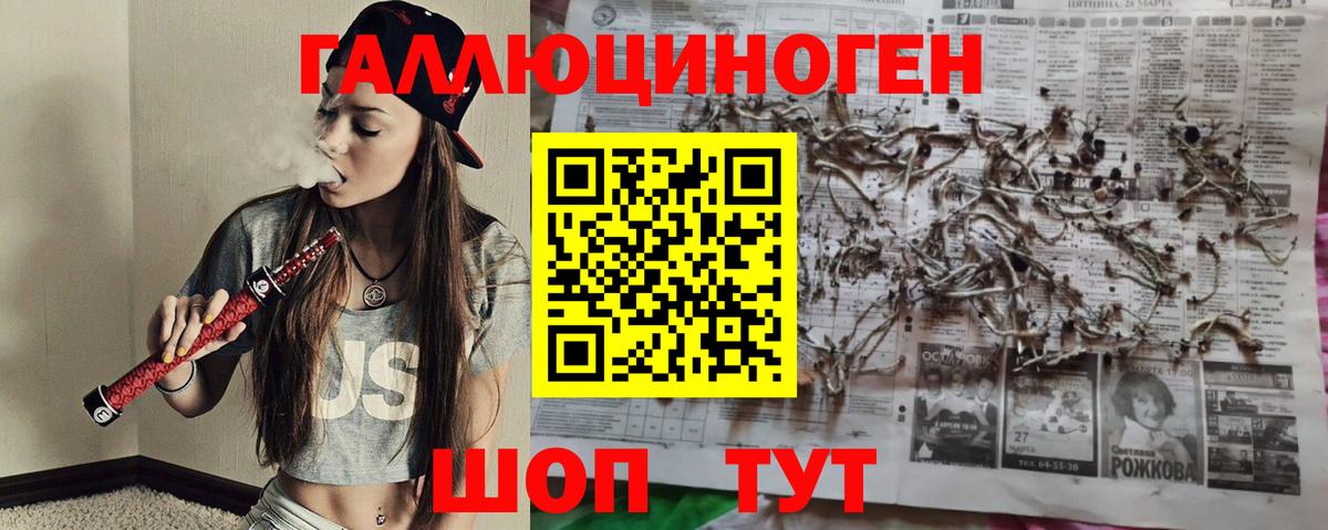 Владимир  Галлюциногенные грибы прущие грибы  Вход с VPN 