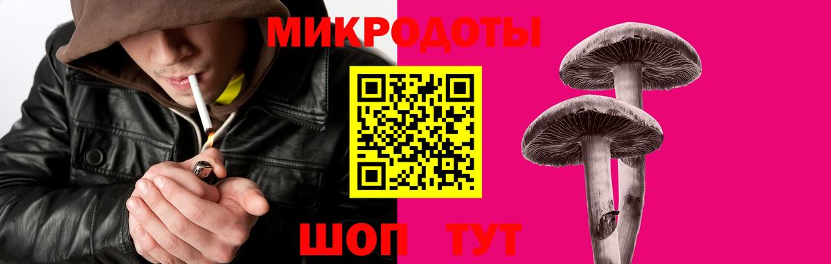 Галлюциногенные грибы прущие грибы Владимир